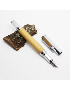 Magnétic Plume Acacia